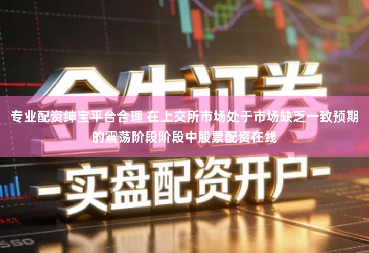 专业配资绅宝平台合理 在上交所市场处于市场缺乏一致预期的震荡阶段阶段中股票配资在线